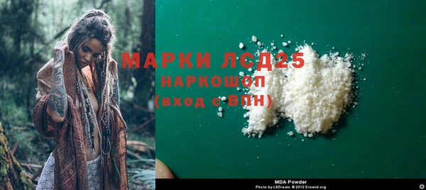 стаф Осинники