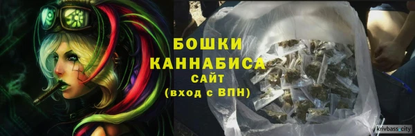 стаф Осинники