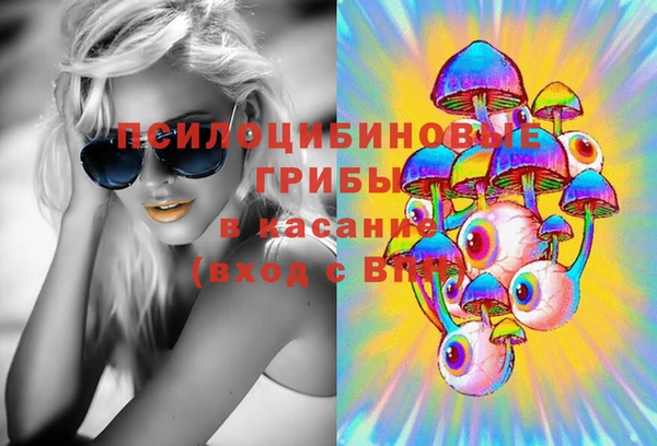 стаф Осинники