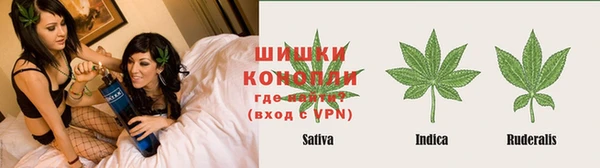 стаф Осинники