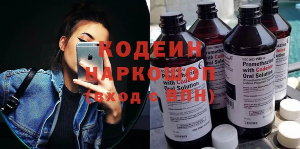 стаф Осинники