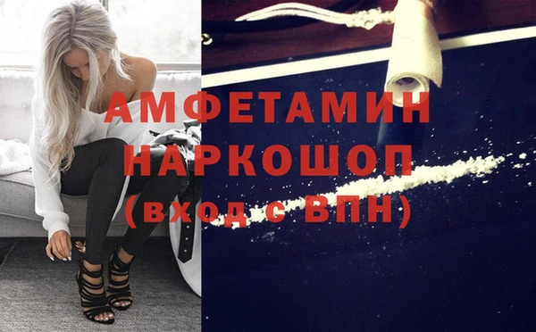 стаф Осинники