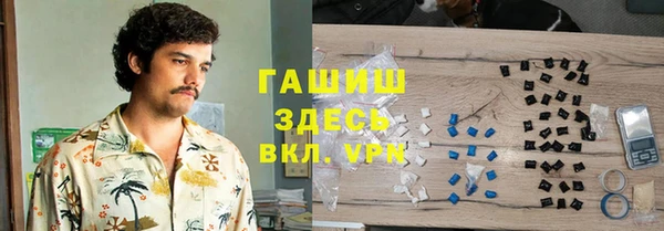 стаф Осинники