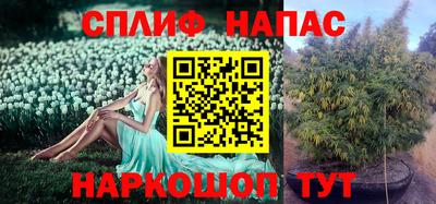 стаф Волгодонск