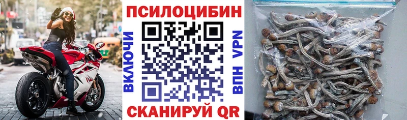 дарк нет как зайти  Кольчугино  Галлюциногенные грибы Psilocybine cubensis 