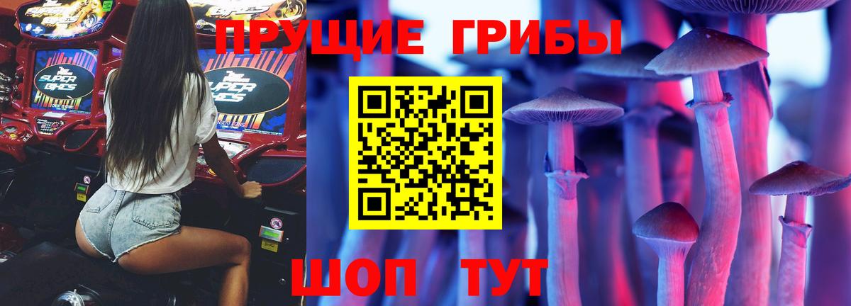 Галлюциногенные грибы MAGIC MUSHROOMS  Кольчугино  Псилоцибиновые грибы ЛСД 