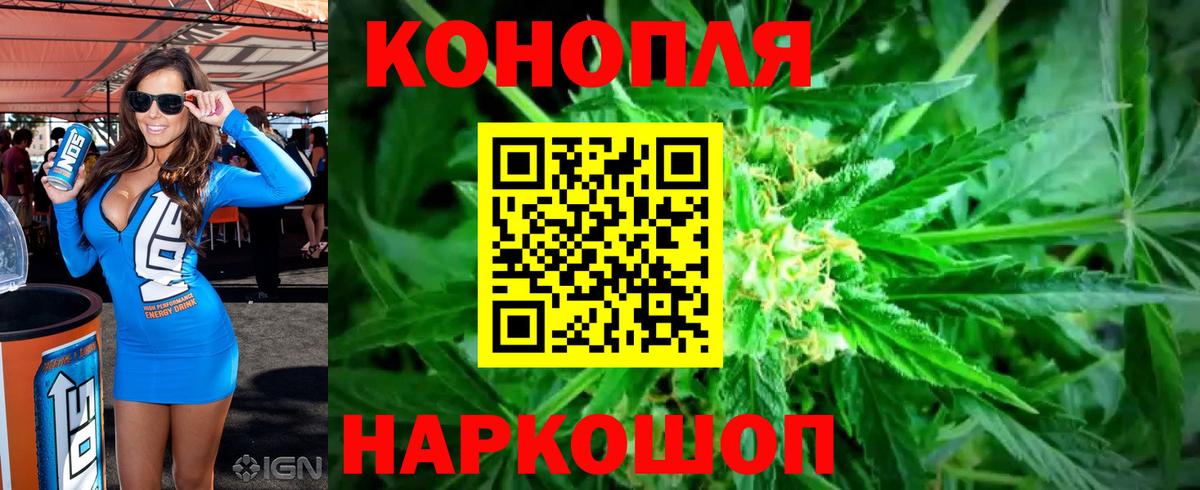 Конопля семена Кольчугино